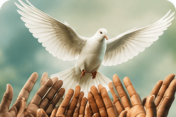 Human Rights
